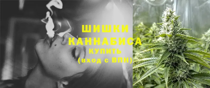 Конопля SATIVA & INDICA  где купить наркоту  Бикин 